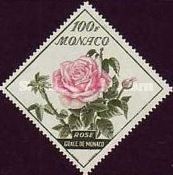 Rose "Grace de Monaco"