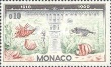 Fish of the Sea Aquarium