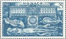 Marine Animals, Museum Building