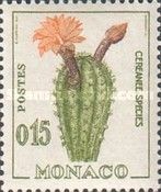 Echinopsis sp.