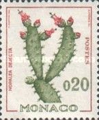 Opuntia sp.