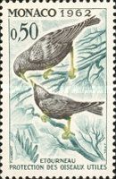 Starling (Sturnus vulgaris)