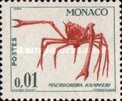 Japanese Spider Crab (Macrocheira kaempferi)