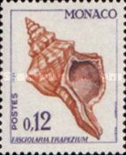 Trapezium Horse Conch (Fasciolaria trapezium)
