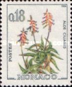 Aloe ciliaris