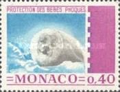 Young Harp Seal (Pagophilus groenlandicus) 