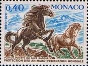 Pottok (Equus ferus)