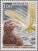 White-tailed Eagle (Haliaeetus albicilla)