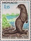 Eurasian Otter (Lutra lutra)