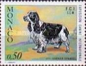 English Cocker Spaniel (Canis lupus familiaris)