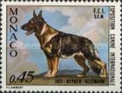 German Shepherd (Canis lupus familiaris)
