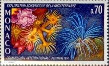 Sea Anemones (Actiniaria)