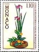 Iris and Chrysanths