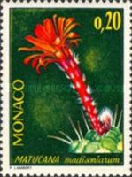 Matucana madisoniorum