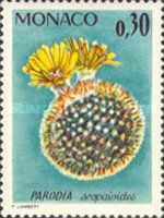 Parodia scopaioides