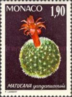 Matucana yanganucensis