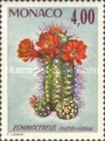 Echinocereus marksianus