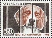 Dog (Canis lupus familiaris)
