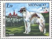 Borzoi (Canis lupus familiaris)