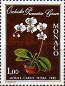 Orchid Princess Grace; by Arthur Freed Orchids