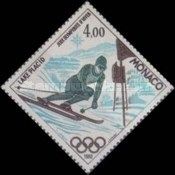 Giant slalom