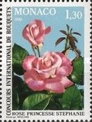 Rose 'Princess Stéphanie of Monaco'