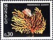 Violescent Sea-whip (Paramuricea clavata)