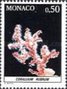 Red Coral (Corallium rubrum)