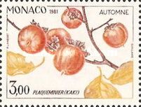 Kaki Persimmon in Autumn
