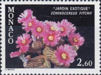 Echinocereus fitchii