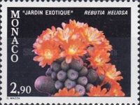Rebutia heliosa