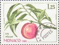 Branch of a Peach Tree in Summer