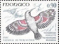 Wallcreeper (Tichodroma muraria)