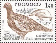 Rock Ptarmigan (Lagopus mutus)