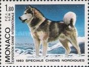 Siberian Husky (Canis lupus familiaris)