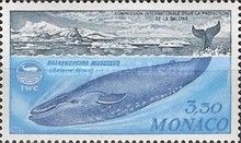 International Commission for the Protection of Whales