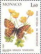 Balkan Fritillary (Boloria graeca ssp. tendensis)
