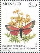 Burnet Moth (Zygaena vesubiana)