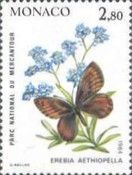 False Mnestra Ringlet (Erebia aethiopella)