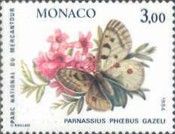 Small Apollo (Parnassius phoebus gazeli)