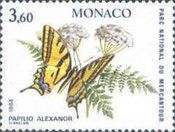 Southern Swallowtail (Papilio alexanor)