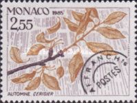 Branch of a Cherry Tree in Autumn