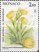 Fritillaria moggridgei