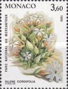 Silene cordifolia