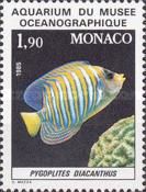 Regal Angelfish (Pygoplites diacanthus)