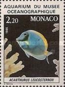 Powderblue Surgeonfish (Acanthurus leucosternon)