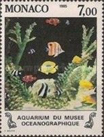 Aquarium with Tropical Fish