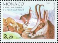 Chamois (Rupicapra rupicapra)