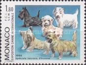 Cairn, Dandie Dinmont, Scottish, West Highland White, Skye
