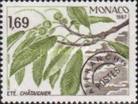 Branch of a Chestnut Tree in Summer